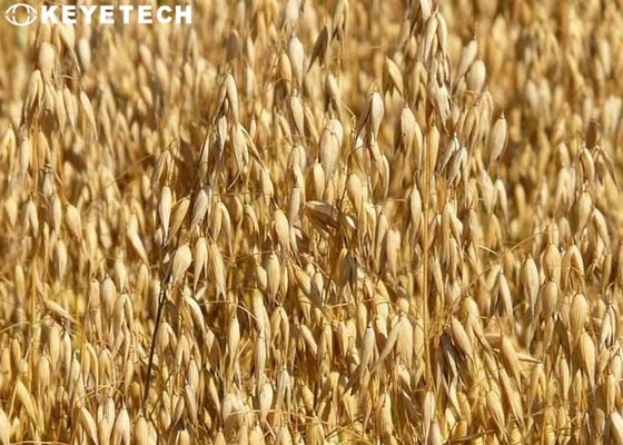 Echtzeitkamera für die Inspektion leerer Flaschen von Milchprodukten mit Abstoßventil