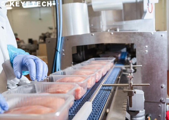 Verpackeninspektions-Ausrüstung für pp.-Plastikwegwerfnahrungsmittelbehälter