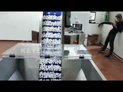 Helicap Vision Sortiermaschine