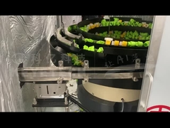 Spülkappe Sortiermaschine kurzer Hals